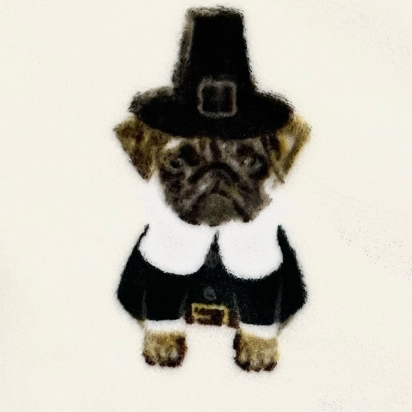 OVERSIZED Plush Throw Blanket ◈ PUG Pilgrim - Picture 4 of 5